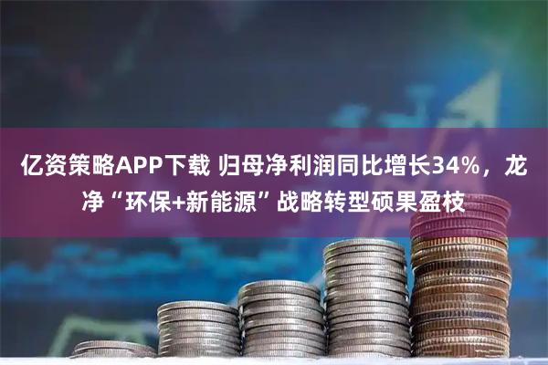 亿资策略APP下载 归母净利润同比增长34%，龙净“环保+新能源”战略转型硕果盈枝