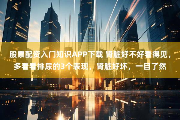 股票配资入门知识APP下载 肾脏好不好看得见，多看看排尿的3个表现，肾脏好坏，一目了然